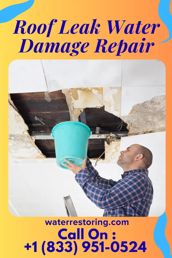 Roof Leak Water Damage Repair in Blodgett Landing, NH